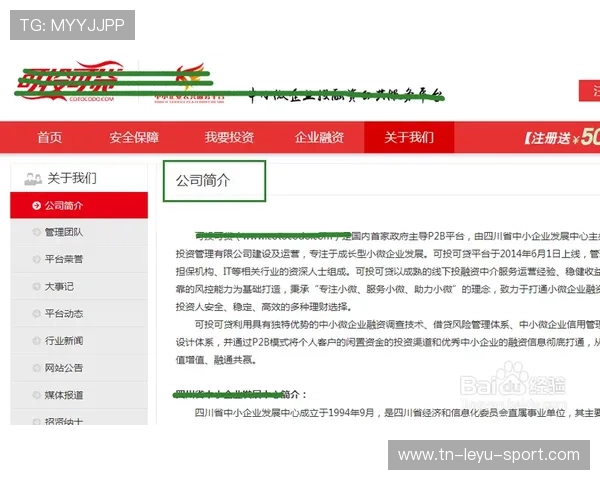 朴志株升值成市场焦点，投资者必看的新风口